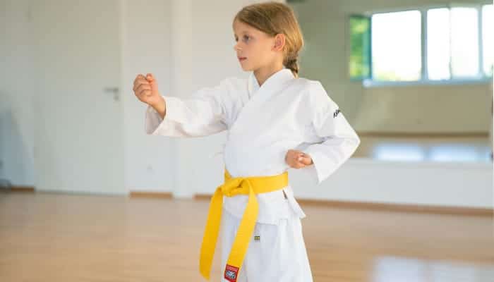 ilja-smorgunder-karate-premium-sportcenter-idstein-kurse-5